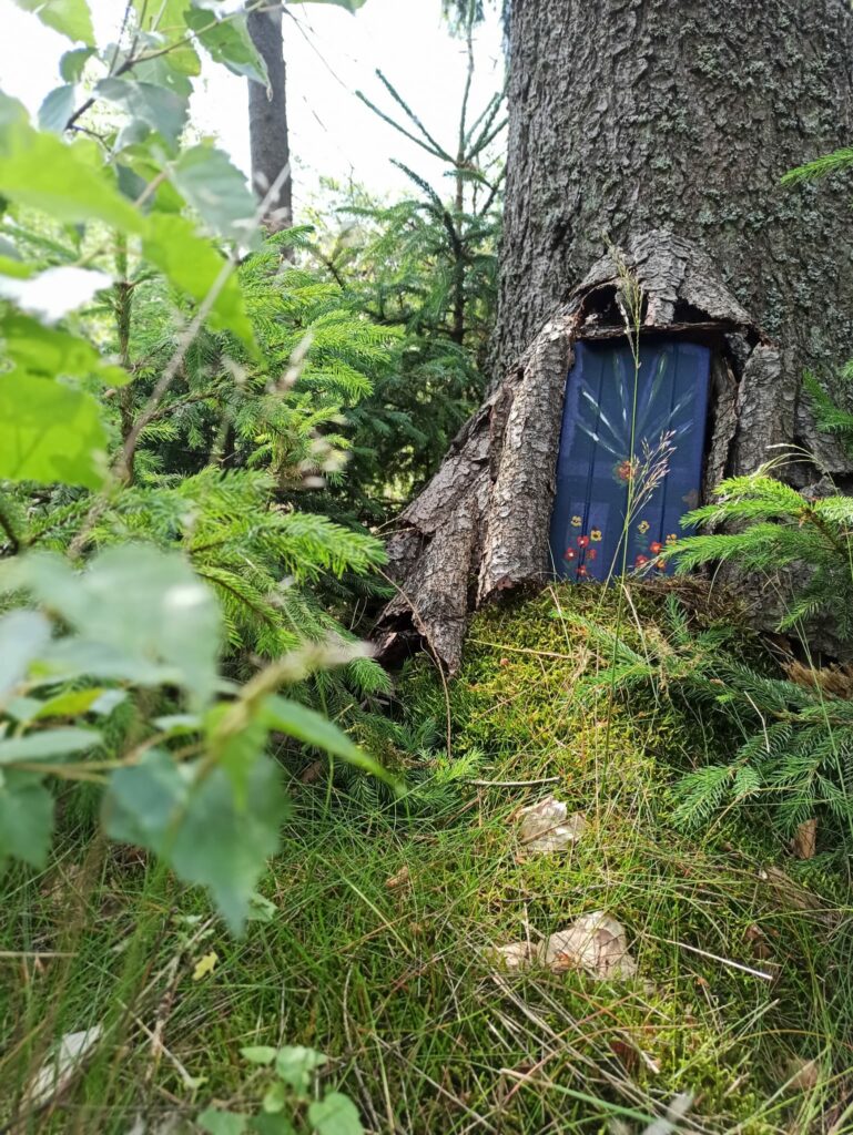 Wolontariusze poszukują Krôsniãta... 