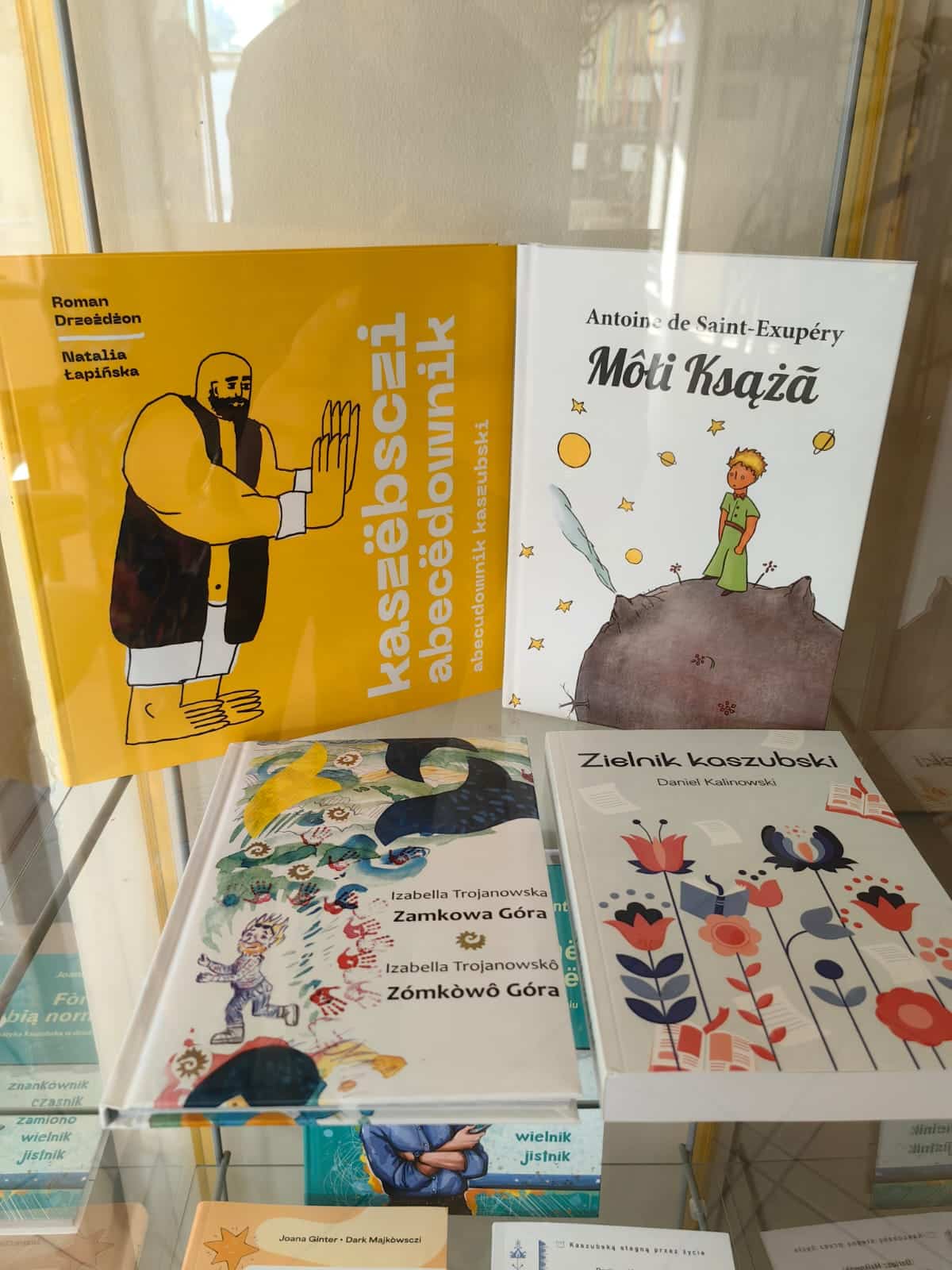 zdjęcie przedstawia propozycje książek z wydawnictwa Kaszubskaksiązka.pl dostępnych w Kaszubskim Uniwersytecie Ludowym
